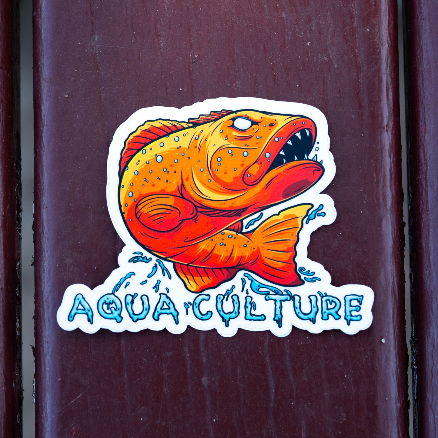 Coral Trout Sticker - Free Shipping